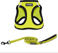 Voyager Step-In Air Dog Harness - All Weather Mesh, Step in Vest Harness for Small and Medium Dogs by Best Pet Supplies Animals & Pet Supplies > Pet Supplies > Dog Supplies Best Pet Supplies, Inc. Lime Green Base (Leash Bundle) XS (Chest: 13 - 14.5") 