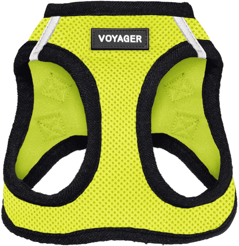 Voyager Step-In Air Dog Harness - All Weather Mesh, Step in Vest Harness for Small and Medium Dogs by Best Pet Supplies Animals & Pet Supplies > Pet Supplies > Dog Supplies Best Pet Supplies, Inc. Lime Green Base XS (Chest: 13 - 14.5") 