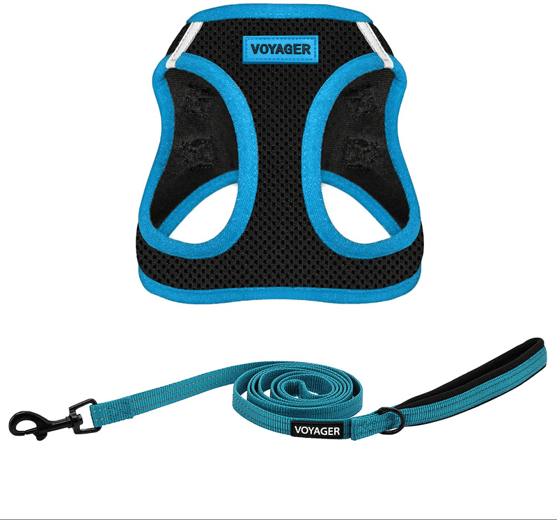Voyager Step-In Air Dog Harness - All Weather Mesh, Step in Vest Harness for Small and Medium Dogs by Best Pet Supplies Animals & Pet Supplies > Pet Supplies > Dog Supplies Best Pet Supplies, Inc. Blue Trim (Leash Bundle M (Chest: 16 - 18") 