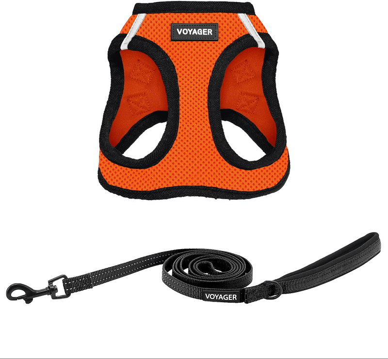 Voyager Step-In Air Dog Harness - All Weather Mesh, Step in Vest Harness for Small and Medium Dogs by Best Pet Supplies Animals & Pet Supplies > Pet Supplies > Dog Supplies Best Pet Supplies, Inc. Orange Base (Leash Bundle) XXS (Chest: 11.5 - 13") 