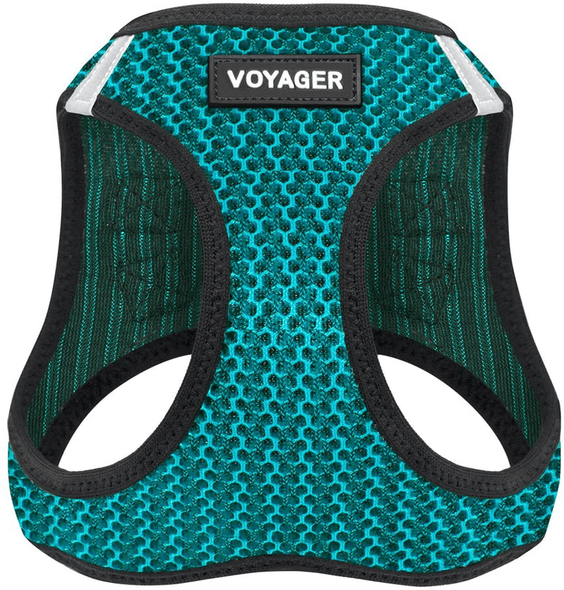 Voyager Step-In Air Dog Harness - All Weather Mesh, Step in Vest Harness for Small and Medium Dogs by Best Pet Supplies Animals & Pet Supplies > Pet Supplies > Dog Supplies Best Pet Supplies, Inc. Turquoise L (Chest: 18 - 20.5") 