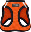 Voyager Step-In Air Dog Harness - All Weather Mesh, Step in Vest Harness for Small and Medium Dogs by Best Pet Supplies Animals & Pet Supplies > Pet Supplies > Dog Supplies Best Pet Supplies, Inc. Orange Base L (Chest: 18 - 20.5") 