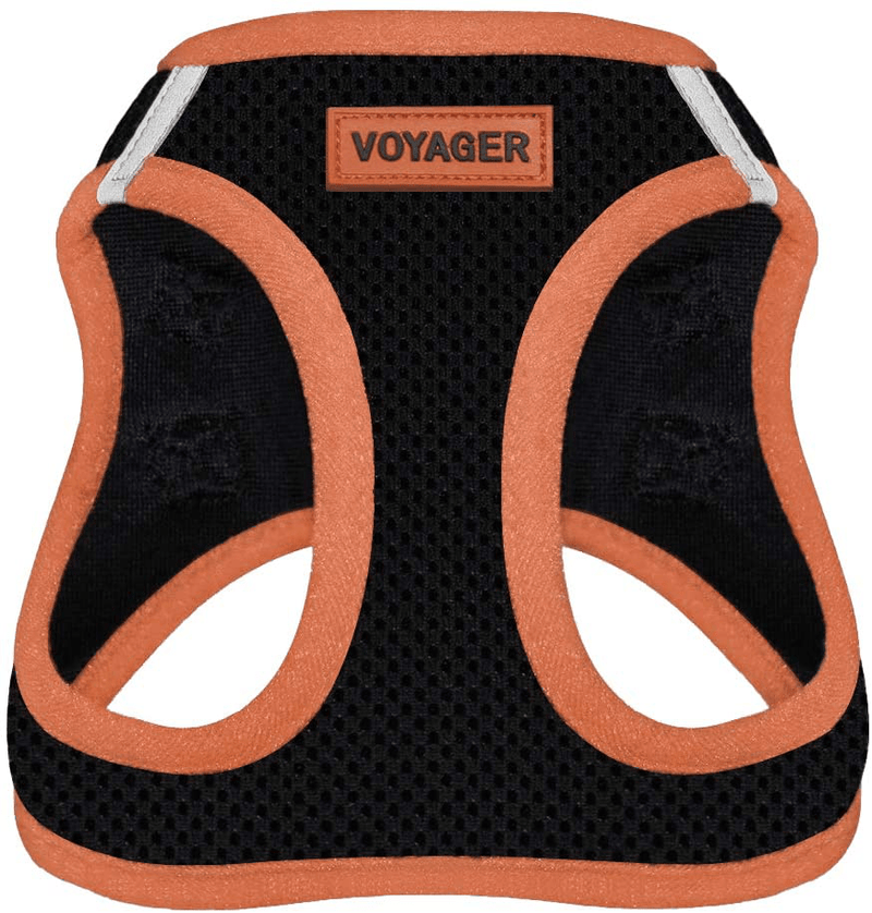 Voyager Step-In Air Dog Harness - All Weather Mesh, Step in Vest Harness for Small and Medium Dogs by Best Pet Supplies Animals & Pet Supplies > Pet Supplies > Dog Supplies Best Pet Supplies, Inc. Orange XL (Chest: 20.5 - 23") 