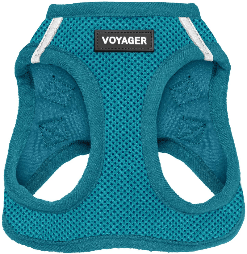 Voyager Step-In Air Dog Harness - All Weather Mesh, Step in Vest Harness for Small and Medium Dogs by Best Pet Supplies Animals & Pet Supplies > Pet Supplies > Dog Supplies Best Pet Supplies, Inc. Turquoise (Matching Trim) L (Chest: 18 - 20.5") 