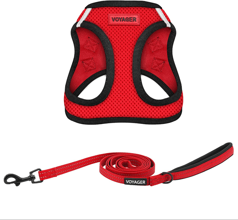 Voyager Step-In Air Dog Harness - All Weather Mesh, Step in Vest Harness for Small and Medium Dogs by Best Pet Supplies Animals & Pet Supplies > Pet Supplies > Dog Supplies Best Pet Supplies, Inc. Red Base (Leash Bundle) XXS (Chest: 11.5 - 13") 