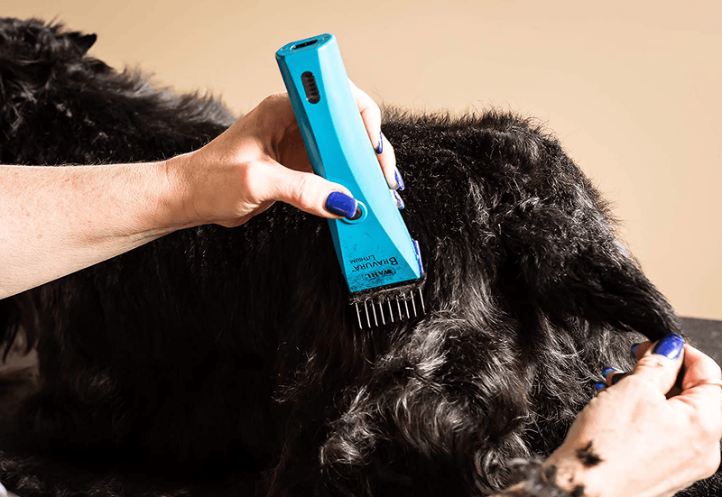 Wahl Professional Animal Stainless Steel Attachment Guide Comb Set for Wahl's Bravura, Arco, Chromado, Figura, and Motion Pet, Dog, Cat, and Horse Clippers (