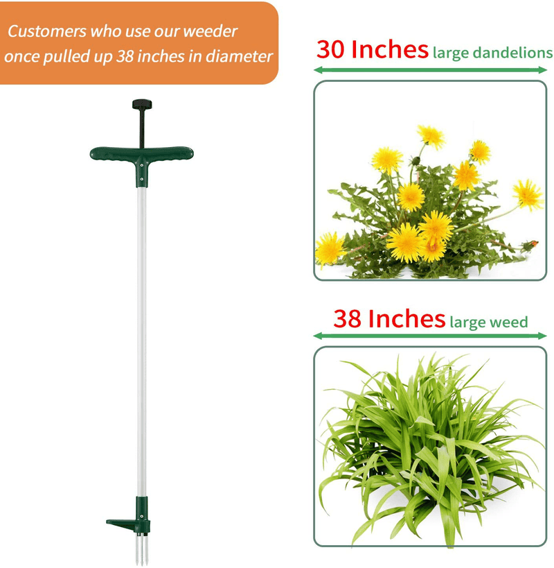 Walensee Weed Puller, Stand Up Weeder Hand Tool, Long Handle Garden Weeding Tool with 3 Claws, Hand Weed Hound Weed Puller for Dandelion, Standup Weed Root Pulling Tool and Picker, Grabber (1 Pack) Home & Garden > Lawn & Garden > Gardening > Gardening Tools > Gardening Sickles & Machetes Walensee   