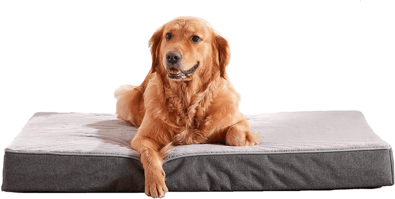 WATANIYA PET Memory Foam Orthopedic Large Dog Bed, Washable Dog Bed for Crate with Cooling Gel Mattress, Waterproof Liner and Plush Removable Cover for Medium Extra Large Jumbo Dogs Animals & Pet Supplies > Pet Supplies > Dog Supplies > Dog Beds WATANIYA PET Plush Cover+Memory Foam Large 