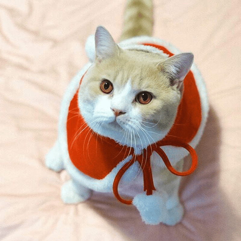 Weeh Dog Clothes for Christmas Cat Xmas Holiday Costume Red Christmas Cape Hooded Cloak Winter Outwear Animals & Pet Supplies > Pet Supplies > Cat Supplies > Cat Apparel WeeH   