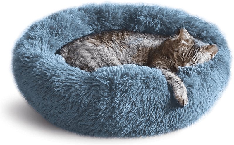 Whiskers & Friends Calming Cat Bed, Cat Bed for Indoor Cats, Calming Dog Bed for Small Dogs, Orthopedic Cat Bed, Donut Cat Bed, Dog Beds for Small Dogs, up to 25Lbs, Washable Animals & Pet Supplies > Pet Supplies > Cat Supplies > Cat Beds Whiskers & Friends Navy-Gray  
