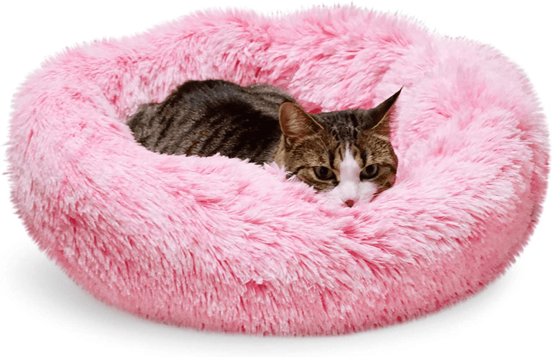 Whiskers & Friends Calming Cat Bed, Cat Bed for Indoor Cats, Calming Dog Bed for Small Dogs, Orthopedic Cat Bed, Donut Cat Bed, Dog Beds for Small Dogs, up to 25Lbs, Washable Animals & Pet Supplies > Pet Supplies > Cat Supplies > Cat Beds Whiskers & Friends Gradient Pink  