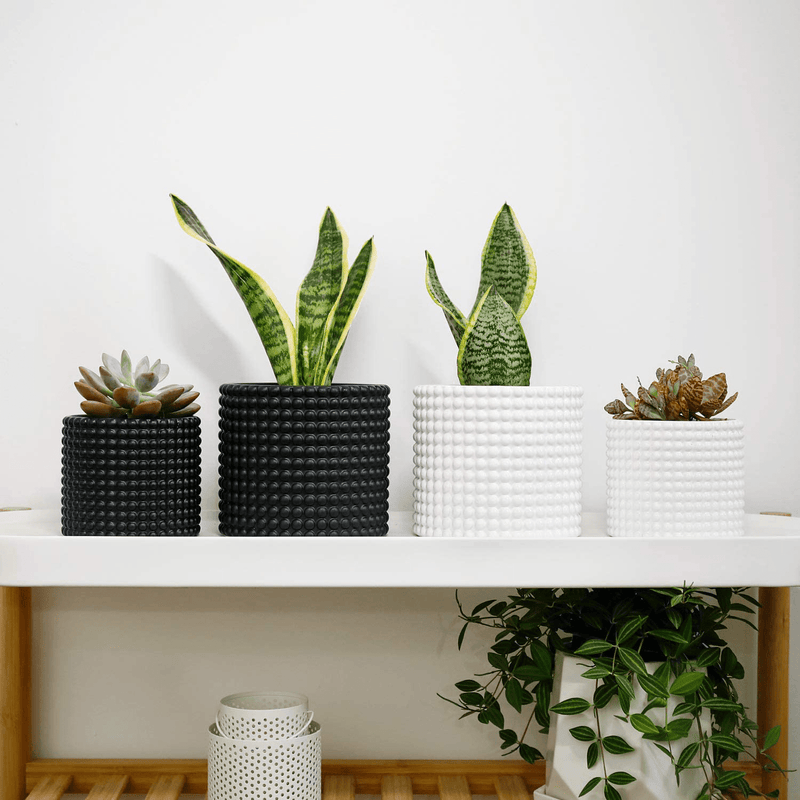 White Planter Pots for Plants Indoor - 6.1 Inch Ceramic Vintage-Style Hobnail Textured Flower Pot with Drainage Hole for Modern Home Decor(POTEY 055102, Plants NOT Included) Home & Garden > Decor > Seasonal & Holiday Decorations POTEY   
