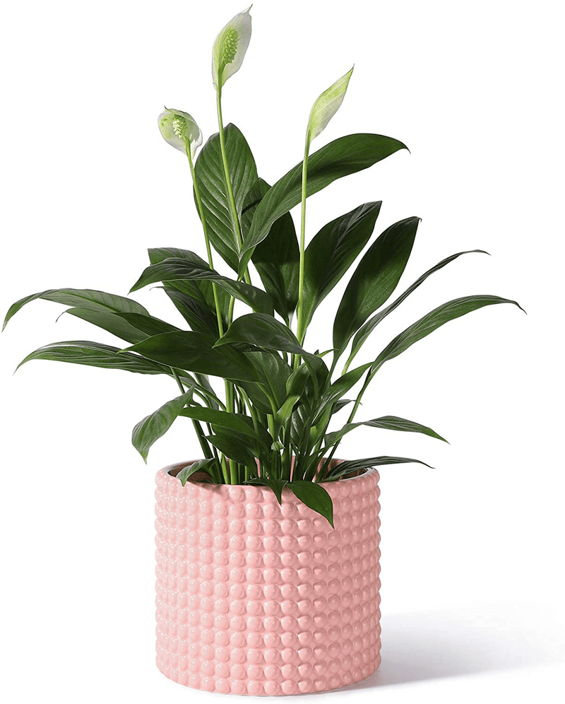 White Planter Pots for Plants Indoor - 6.1 Inch Ceramic Vintage-Style Hobnail Textured Flower Pot with Drainage Hole for Modern Home Decor(POTEY 055102, Plants NOT Included) Home & Garden > Decor > Seasonal & Holiday Decorations POTEY Shiny Pink Large - 6.1 inch D 
