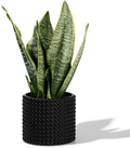 White Planter Pots for Plants Indoor - 6.1 Inch Ceramic Vintage-Style Hobnail Textured Flower Pot with Drainage Hole for Modern Home Decor(POTEY 055102, Plants NOT Included) Home & Garden > Decor > Seasonal & Holiday Decorations POTEY Matte Black Medium - 4.8 inch D 