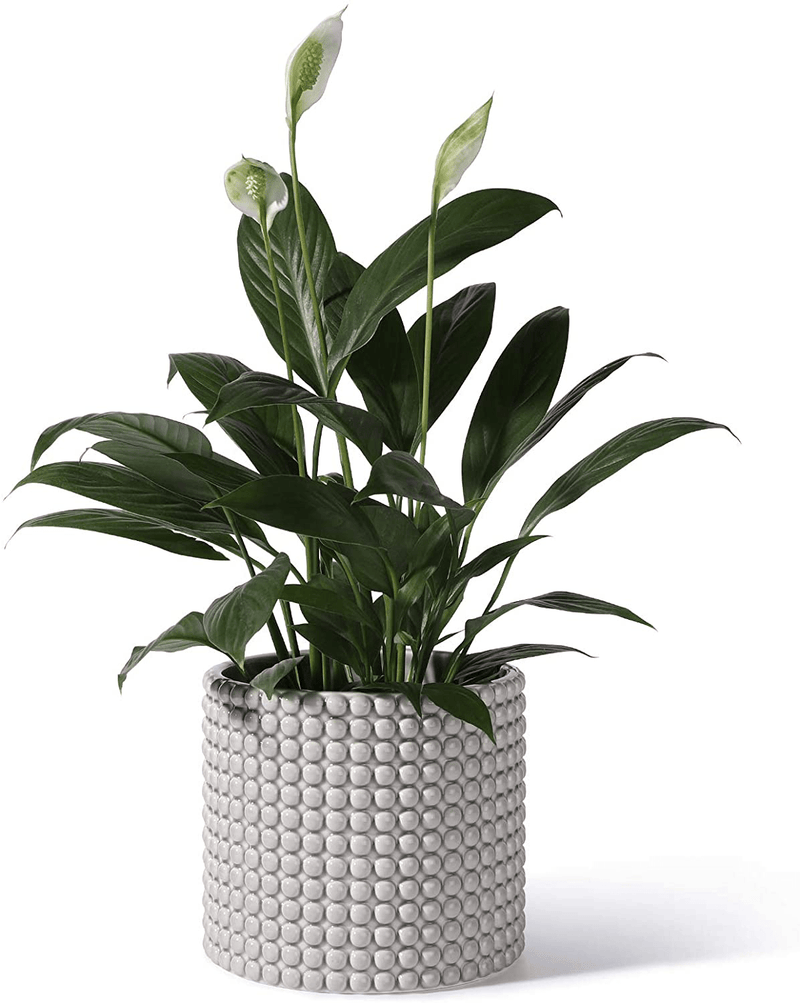White Planter Pots for Plants Indoor - 6.1 Inch Ceramic Vintage-Style Hobnail Textured Flower Pot with Drainage Hole for Modern Home Decor(POTEY 055102, Plants NOT Included) Home & Garden > Decor > Seasonal & Holiday Decorations POTEY Shiny Grey Large - 6.1 inch D 