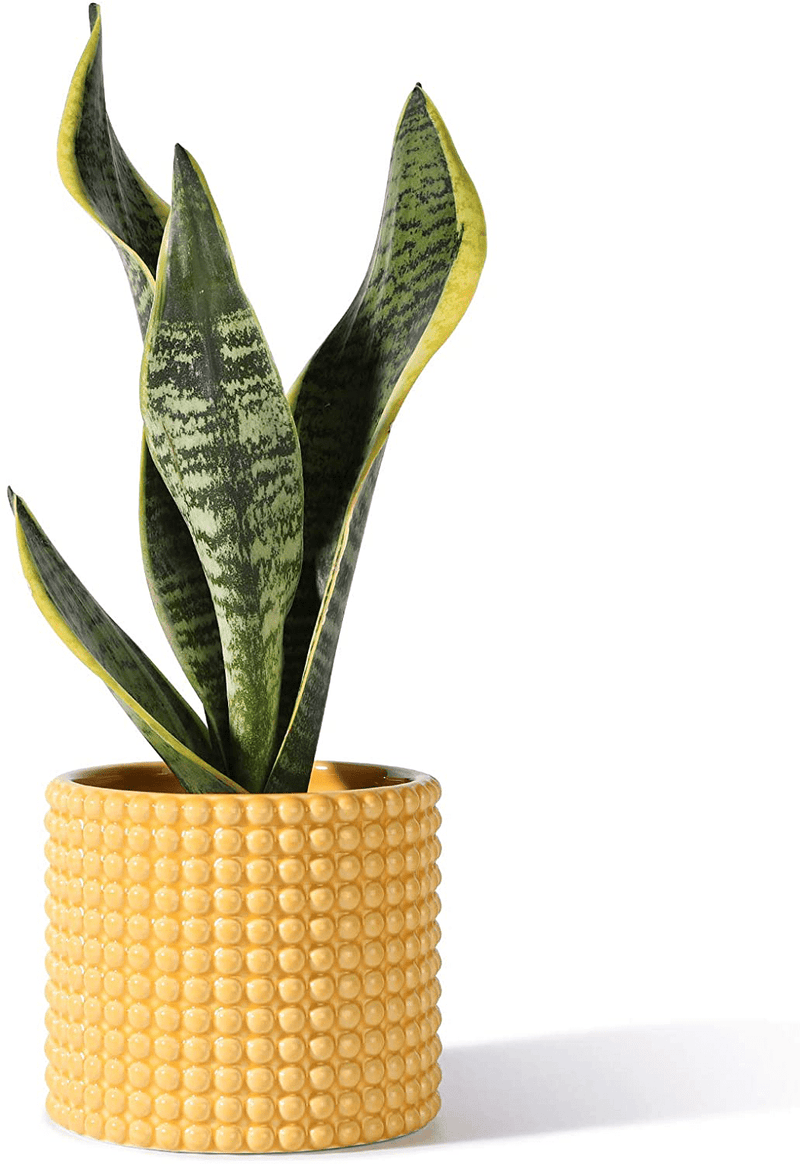 White Planter Pots for Plants Indoor - 6.1 Inch Ceramic Vintage-Style Hobnail Textured Flower Pot with Drainage Hole for Modern Home Decor(POTEY 055102, Plants NOT Included) Home & Garden > Decor > Seasonal & Holiday Decorations POTEY Orange Yellow Medium - 4.8 inch D 