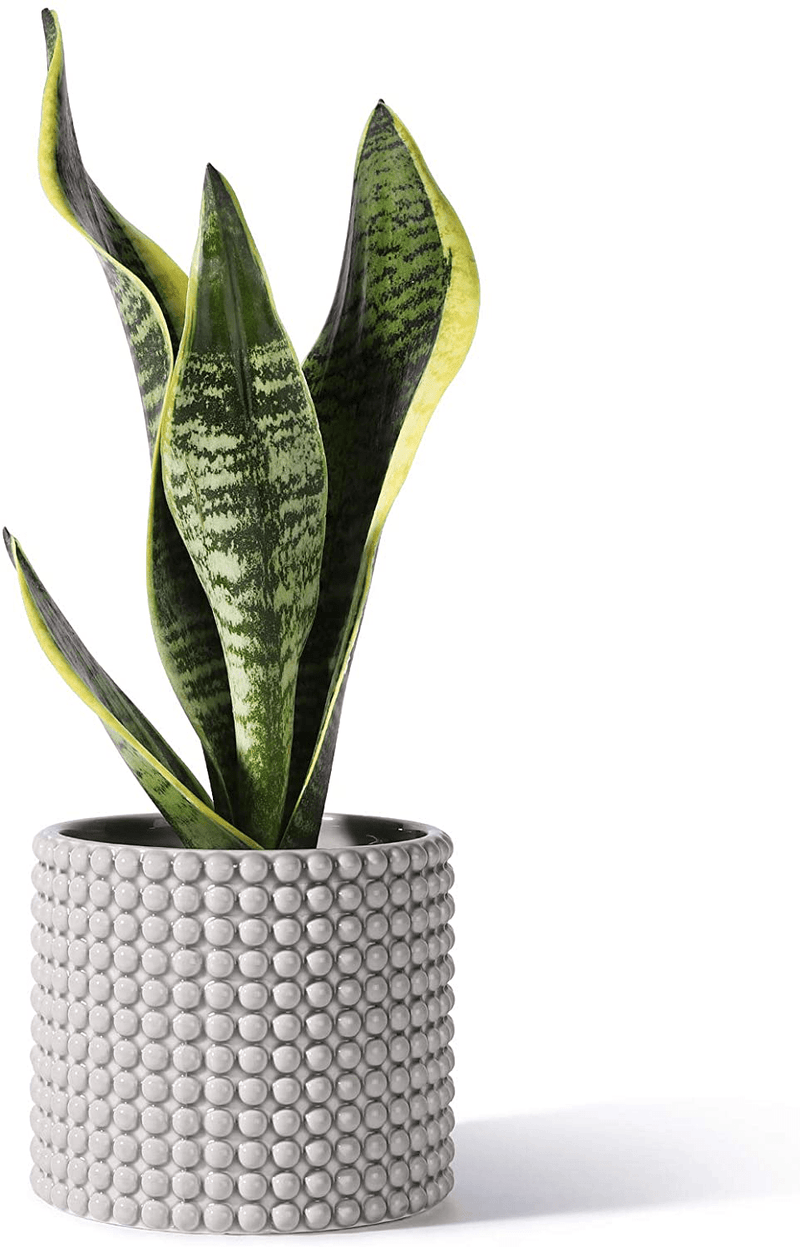 White Planter Pots for Plants Indoor - 6.1 Inch Ceramic Vintage-Style Hobnail Textured Flower Pot with Drainage Hole for Modern Home Decor(POTEY 055102, Plants NOT Included) Home & Garden > Decor > Seasonal & Holiday Decorations POTEY Shiny Grey Medium - 4.8 inch D 