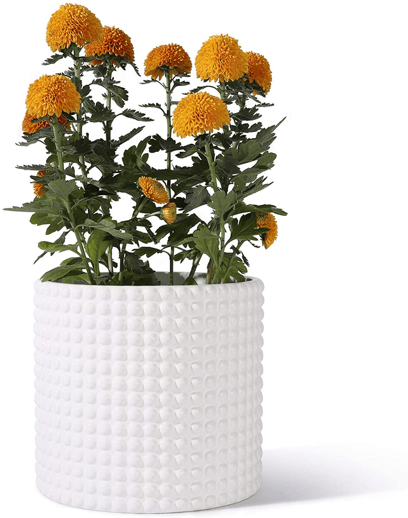 White Planter Pots for Plants Indoor - 6.1 Inch Ceramic Vintage-Style Hobnail Textured Flower Pot with Drainage Hole for Modern Home Decor(POTEY 055102, Plants NOT Included)