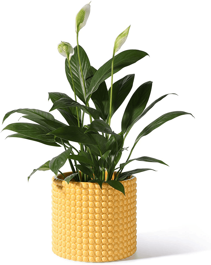 White Planter Pots for Plants Indoor - 6.1 Inch Ceramic Vintage-Style Hobnail Textured Flower Pot with Drainage Hole for Modern Home Decor(POTEY 055102, Plants NOT Included) Home & Garden > Decor > Seasonal & Holiday Decorations POTEY Orange Yellow Large - 6.1 inch D 