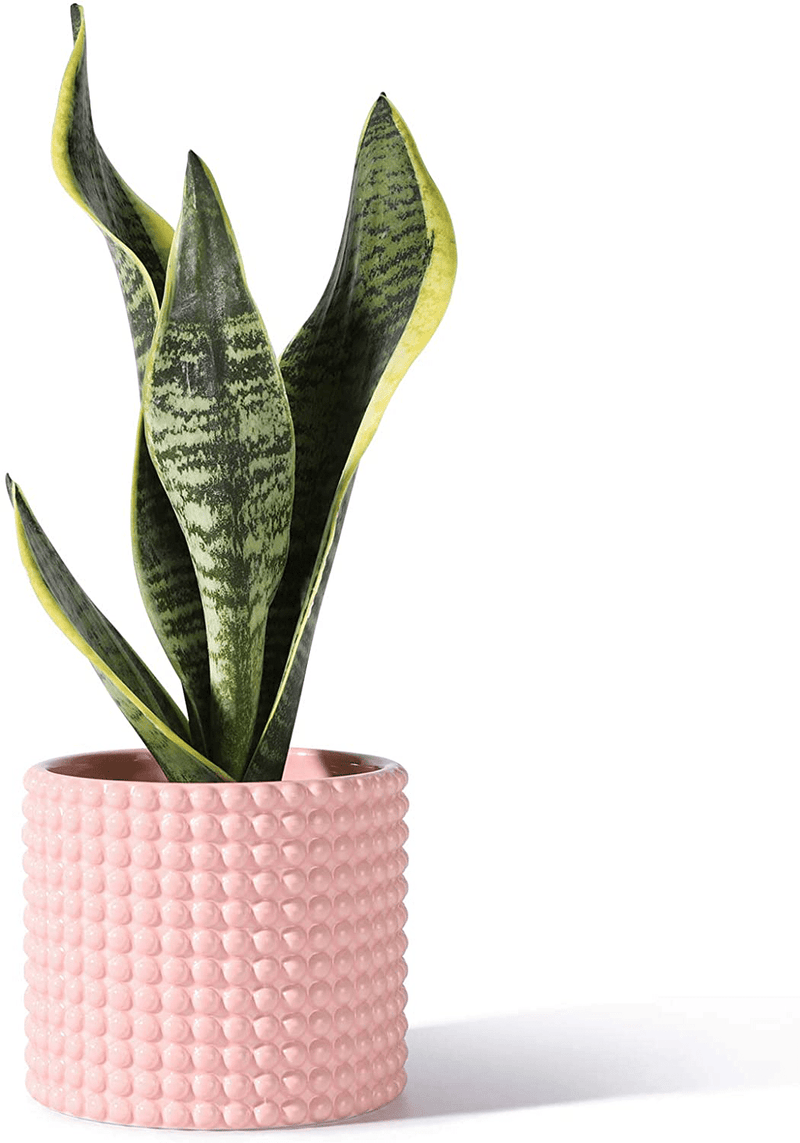 White Planter Pots for Plants Indoor - 6.1 Inch Ceramic Vintage-Style Hobnail Textured Flower Pot with Drainage Hole for Modern Home Decor(POTEY 055102, Plants NOT Included) Home & Garden > Decor > Seasonal & Holiday Decorations POTEY Shiny Pink Medium - 4.8 inch D 