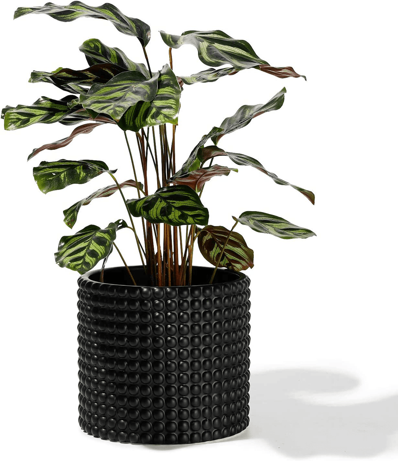 White Planter Pots for Plants Indoor - 6.1 Inch Ceramic Vintage-Style Hobnail Textured Flower Pot with Drainage Hole for Modern Home Decor(POTEY 055102, Plants NOT Included) Home & Garden > Decor > Seasonal & Holiday Decorations POTEY Matte Black Large - 6.1 inch D 