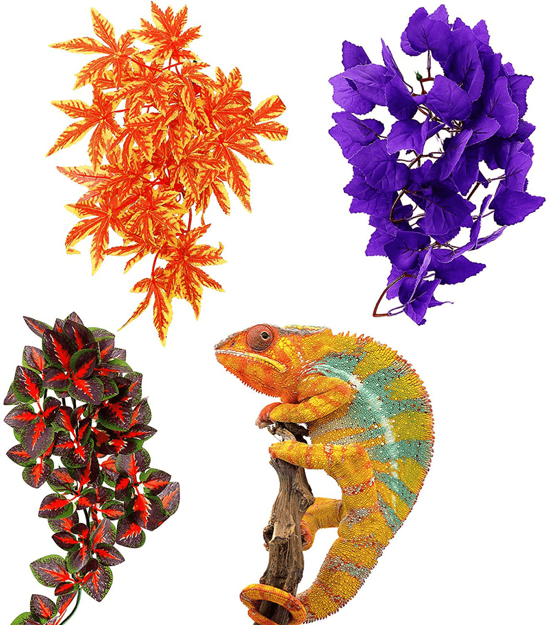 WILLBOND 3 Pieces 12 Inch Reptile Plants Artificial Hanging Silk Terrarium Plants Hanging Vines with Suction Cup for Lizards Bearded Dragons Snake Geckos Hermit Crab Tank Pet Habitat Decor Animals & Pet Supplies > Pet Supplies > Reptile & Amphibian Supplies WILLBOND Default Title  