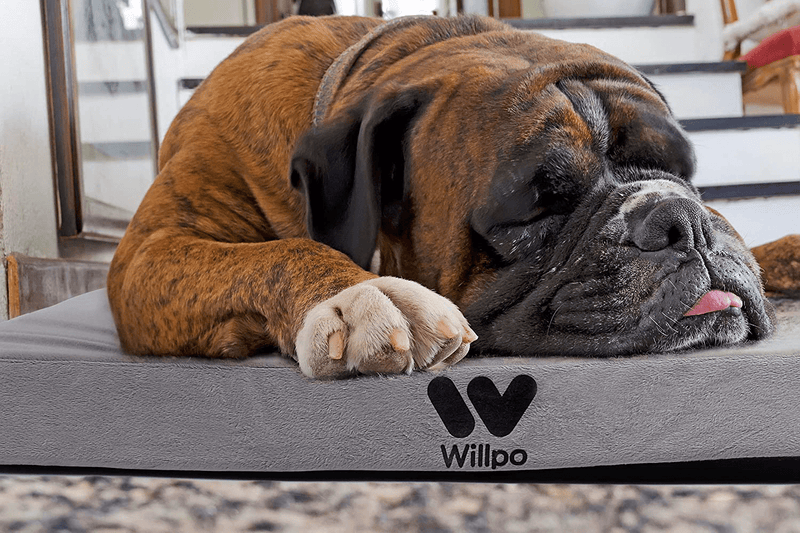 Willpo Certipur-Us Memory Foam Camping Mattress [Single:75"X30"X2.75" Twin 75"X38"X2.75"] Portable Sleeping Pad Floor Guest Bed Lightweight Outdoor Tent Mattress Removable Waterproof Cover Travel Bag Sporting Goods > Outdoor Recreation > Camping & Hiking > Tent Accessories Willpo   