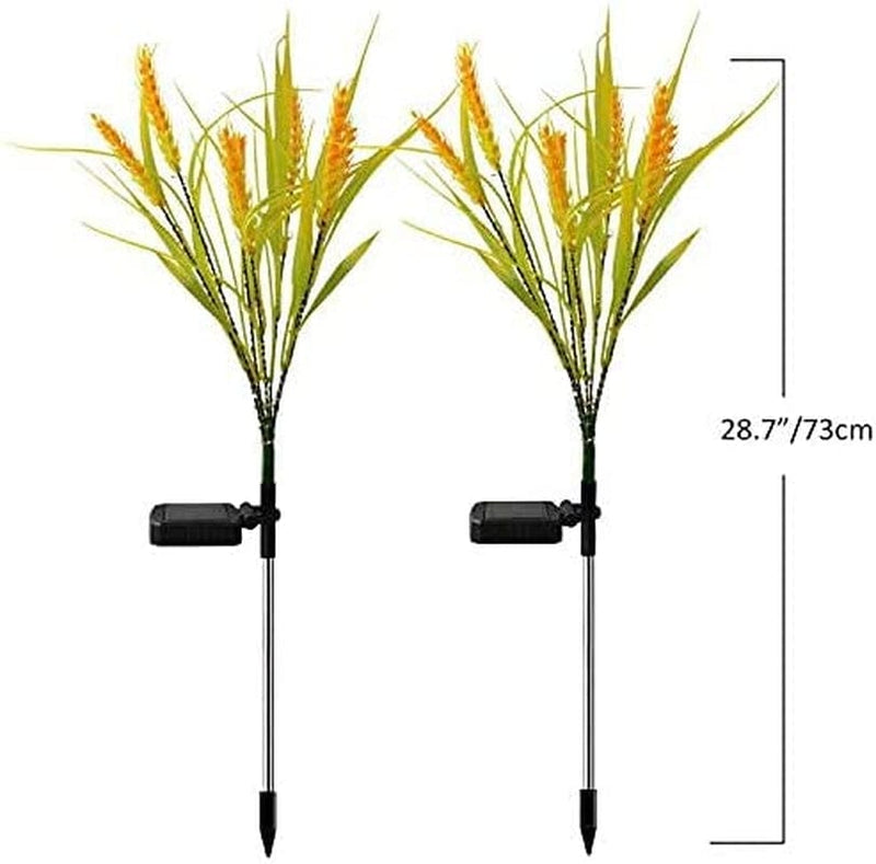 Windpnn 2 Pack Solar Wheat Lights, Outdoor Solar Straw Lamps Waterproof and Realistic LED Solar Powered Outdoor In-Ground Lights for Thanksgiving Garden Patio Yard Christmas Decoration
