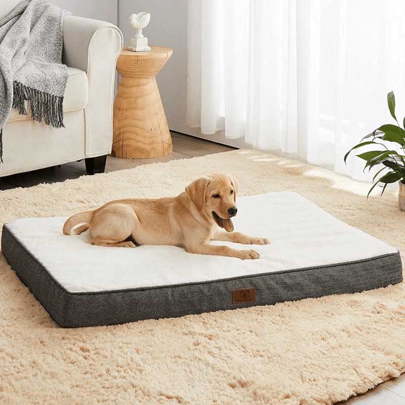 WNPETHOME Dog Beds for Large Dogs, Orthopedic Dog Bed for Medium Large Dogs, Egg- Foam Dog Crate Bed,Dog Mattress with Removable Washable Cover & Non-Slip Bottom（Large Dog Bed 30/36/42） Animals & Pet Supplies > Pet Supplies > Dog Supplies > Dog Beds WNPETHOME Black 36 x 27 x 3 inch 