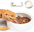Worm Dish - Large 2 Pcs Reptile Food Water Bowl Lizard Gecko Ceramic Pet Bowls, Mealworms Bowl for Bearded Dragon Chameleon Hermit Crab Dubia Rock Reptile Cricket Dish Anti-Escape Mini Reptile Feeder Animals & Pet Supplies > Pet Supplies > Reptile & Amphibian Supplies > Reptile & Amphibian Habitats HELIME 1White Small-1Pack 