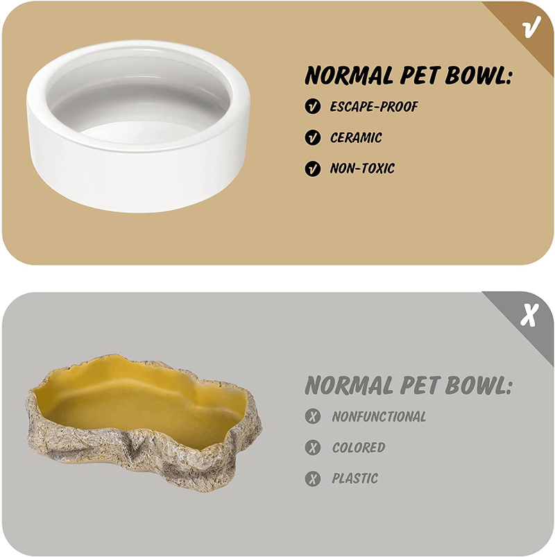 Worm Dish - Large 2 Pcs Reptile Food Water Bowl Lizard Gecko Ceramic Pet Bowls, Mealworms Bowl for Bearded Dragon Chameleon Hermit Crab Dubia Rock Reptile Cricket Dish Anti-Escape Mini Reptile Feeder Animals & Pet Supplies > Pet Supplies > Reptile & Amphibian Supplies > Reptile & Amphibian Habitats HELIME   