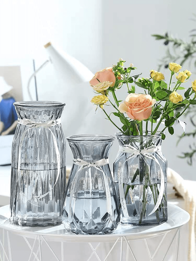 XILEI Glass Vases for Flowers,Grey Vases Set of 2 ，Flower Vase Decorative for Home Decor, Desk Placement and Gift (A2) Home & Garden > Decor > Vases XILEI   