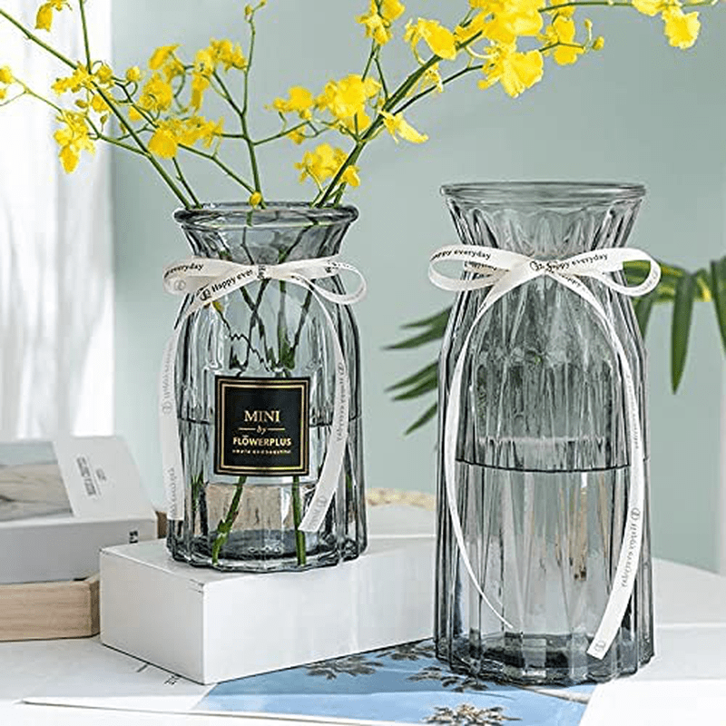 XILEI Glass Vases for Flowers,Grey Vases Set of 2 ，Flower Vase Decorative for Home Decor, Desk Placement and Gift (A2) Home & Garden > Decor > Vases XILEI Grey XILEI-A 