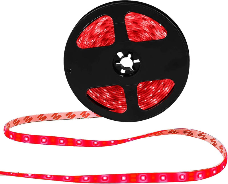 XKTTSUEERCRR Waterproof Blue LED 3528 SMD 300LED 5M 16.4Feet Flexible Light Strip 12V 2A 24W 60Led/M-Green Home & Garden > Pool & Spa > Pool & Spa Accessories XKTTSUEERCRR Red  