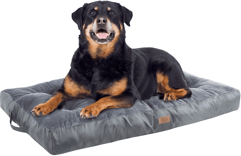 Xuemi Dog Beds for Large Dogs, Soft Comfortable Cat and Dog Crate Mattress with Waterproof Bottom, Deluxe Plush Pet Cushion Animals & Pet Supplies > Pet Supplies > Dog Supplies > Dog Beds XueMi   