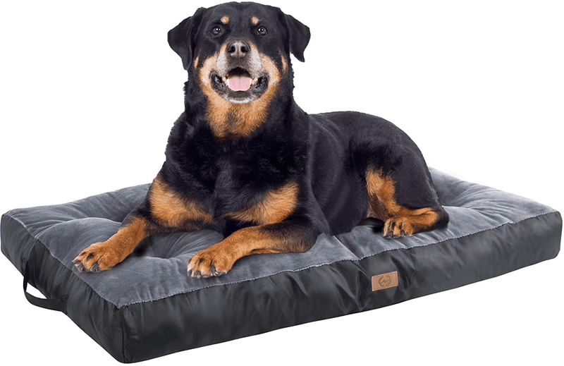 Xuemi Dog Beds for Large Dogs, Soft Comfortable Cat and Dog Crate Mattress with Waterproof Bottom, Deluxe Plush Pet Cushion