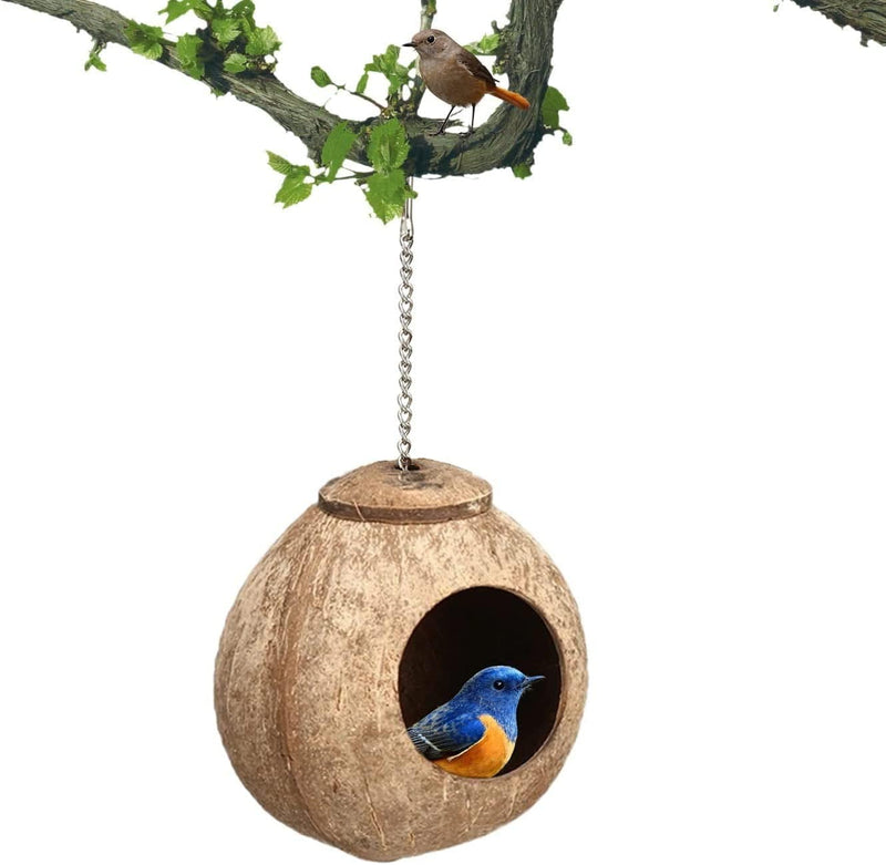 XXSLY Creative Birdcage Coconut Shell Bird Cages with Climb Ladder House Cage Nest Hanging Toys for Parrot Parakeet Lovebird Finch Canary Bird Cage Accessories (Color : Polish) Animals & Pet Supplies > Pet Supplies > Bird Supplies > Bird Cages & Stands XXSLY   
