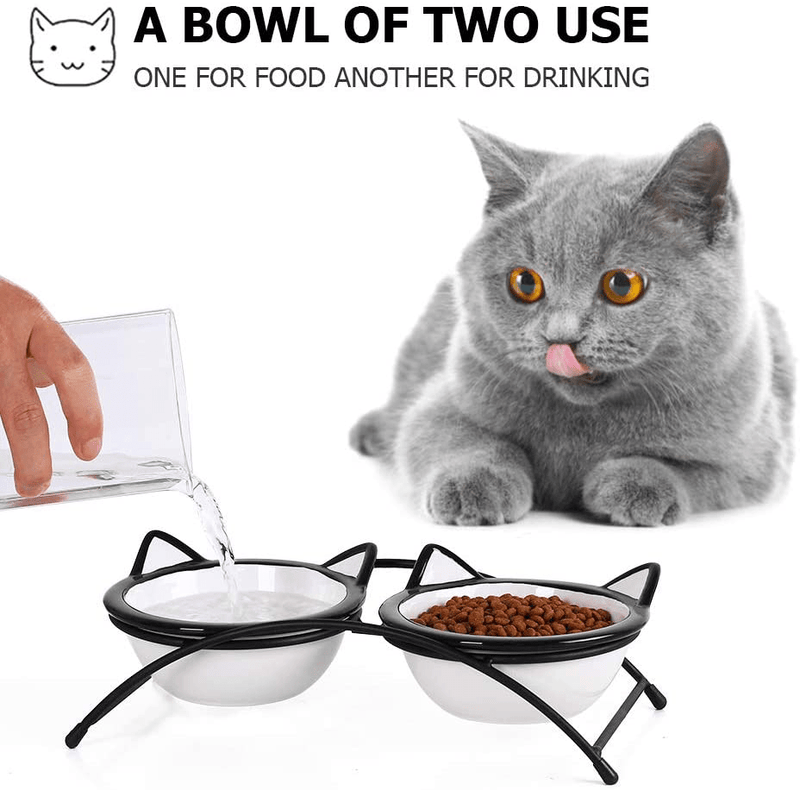 Y YHY Cat Food Bowls Set,Raised Cat Bowls for Food and Water,Ceramic Elevated Pet Dishes Bowls with Stand,12 oz Cats and Small Dogs Bowls,Dishwasher Safe Animals & Pet Supplies > Pet Supplies > Cat Supplies Y YHY   