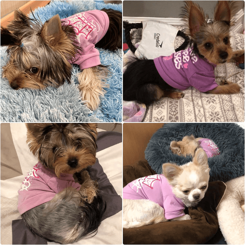 Yikeyo Xs Puppy Clothes Girl - Yorkie Clothes for Small Dogs - Small Puppy Clothes Boy - Xs Dog Clothes Girl - Tea Cup Puppy Clothes - Female Dog Clothes - Girl Dog Clothes Animals & Pet Supplies > Pet Supplies > Dog Supplies > Dog Apparel Yikeyo   