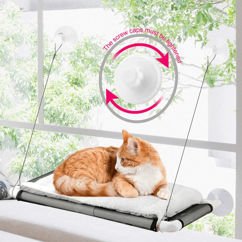 ZALALOVA Cat Window Perch, Cat Hammock Window Seat W/Free Fleece Blanket 2021 Latest Screw Suction Cups Extra Large Sturdy Cat Bed Cat Resting Seat Holds Two Large Cats Indoors Outdoors Animals & Pet Supplies > Pet Supplies > Cat Supplies > Cat Beds ZALALOVA White  