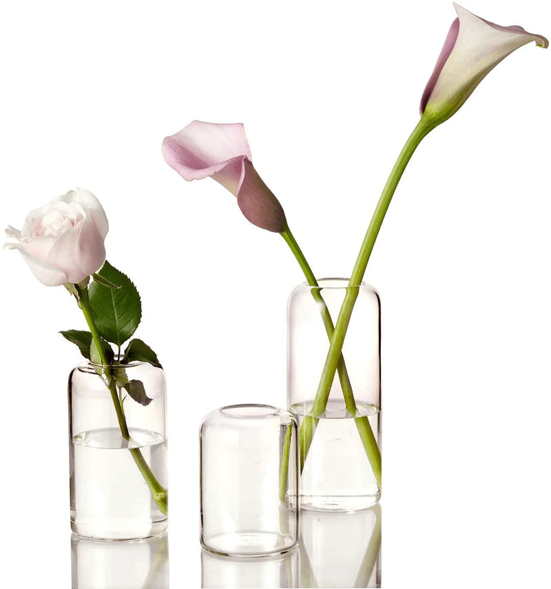 ZENS Bud Vases Glass Set, Clear Small Serene Spaces Living Vase Set of 3 for Centerpieces Home Decor, Modern Hand Blown Borosilicate Flowers Vases for Office or Wedding Events Home & Garden > Decor > Vases ZENS 01-transparent  